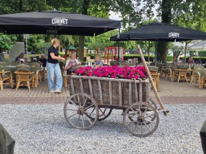 
                            <b>Houten kar vol met bloemen, terras met mensen op achtergrond.</b><br>
                                                        <b>ISO:</b> 50 | <b>Sluitertijd:</b> 902527/250000000 | <b>Diafragma:</b> f/1.8 | <b>Datum:</b> 2025-06-27

                        
