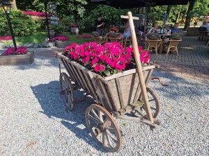 
                            <b>Oude houten handkar vol rode bloemen, decoratief dinerterras op achtergrond.</b><br>
                                                        <b>ISO:</b> 50 | <b>Sluitertijd:</b> 1/5376 | <b>Diafragma:</b> f/1.8 | <b>Datum:</b> 2025-06-27

                        