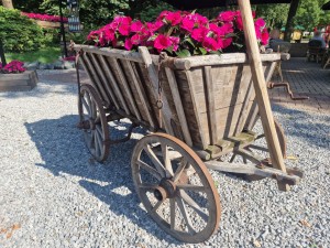 
                            <b>Houten wagen met roze bloemen vol in bloei erin geplaatst.</b><br>
                                                        <b>ISO:</b> 50 | <b>Sluitertijd:</b> 1/4545 | <b>Diafragma:</b> f/1.8 | <b>Datum:</b> 2025-06-27

                        