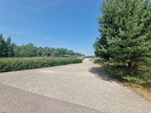 
                            <b>Betonnen weg in natuurrijk gebied met groen en brug op achtergrond.</b><br>
                                                        <b>ISO:</b> 50 | <b>Sluitertijd:</b> 1/2358 | <b>Diafragma:</b> f/2.2 | <b>Datum:</b> 2025-06-25

                        