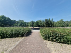 
                            <b>Pad naar brug, omringd door groene struiken en bomen.</b><br>
                                                        <b>ISO:</b> 50 | <b>Sluitertijd:</b> 1/2193 | <b>Diafragma:</b> f/2.2 | <b>Datum:</b> 2025-06-25

                        