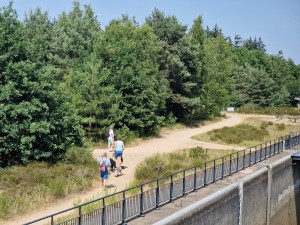 
                            <b>Mensen wandelen met honden op een zandpad langs een betonnen muur.</b><br>
                                                        <b>ISO:</b> 50 | <b>Sluitertijd:</b> 1/1845 | <b>Diafragma:</b> f/2.4 | <b>Datum:</b> 2025-06-25

                        