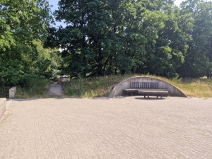 
                            <b>Bankje bij gebogen muurtje aan de rand van een bospad.</b><br>
                                                        <b>ISO:</b> 50 | <b>Sluitertijd:</b> 1/652 | <b>Diafragma:</b> f/1.8 | <b>Datum:</b> 2025-06-25

                        