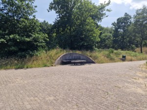 
                            <b>Betonnen bankje in een grasheuvel langs een tegelpad.</b><br>
                                                        <b>ISO:</b> 50 | <b>Sluitertijd:</b> 1/1148 | <b>Diafragma:</b> f/1.8 | <b>Datum:</b> 2025-06-25

                        