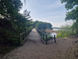 
                            <b>Houten brug over water met bomen aan weerszijden.</b><br>
                                                        <b>ISO:</b> 50 | <b>Sluitertijd:</b> 896057/500000000 | <b>Diafragma:</b> f/1.8 | <b>Datum:</b> 2025-06-25

                        