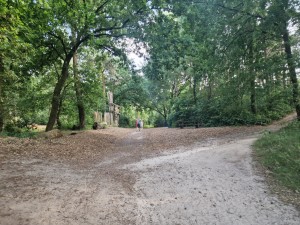 
                            <b>Twee mensen wandelen bij houten sculptuur in bosrijke omgeving.</b><br>
                                                        <b>ISO:</b> 100 | <b>Sluitertijd:</b> 1111111/200000000 | <b>Diafragma:</b> f/1.8 | <b>Datum:</b> 2025-06-25

                        