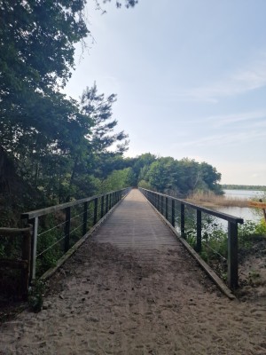 
                            <b>Lang houten brugpad door groene natuur, omringd door bomen en struiken.</b><br>
                                                        <b>ISO:</b> 50 | <b>Sluitertijd:</b> 1/4717 | <b>Diafragma:</b> f/1.8 | <b>Datum:</b> 2025-06-25

                        