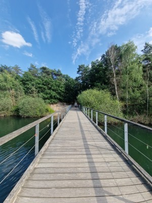 
                            <b>Houten loopbrug over water tussen groene bomen met blauwe lucht.</b><br>
                                                        <b>ISO:</b> 50 | <b>Sluitertijd:</b> 1/1099 | <b>Diafragma:</b> f/2.2 | <b>Datum:</b> 2025-06-25

                        