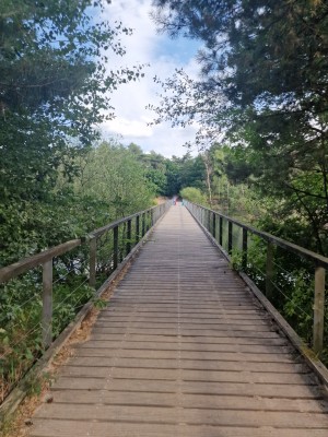 
                            <b>Houten brug over kanaal omgeven door groene bomen, mensen in de verte.</b><br>
                                                        <b>ISO:</b> 50 | <b>Sluitertijd:</b> 1/436 | <b>Diafragma:</b> f/1.8 | <b>Datum:</b> 2025-06-25

                        