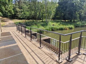 
                            <b>Een brug met metalen hekken over een groen begroeid watertje.</b><br>
                                                        <b>ISO:</b> 50 | <b>Sluitertijd:</b> 1/612 | <b>Diafragma:</b> f/1.8 | <b>Datum:</b> 2025-06-25

                        