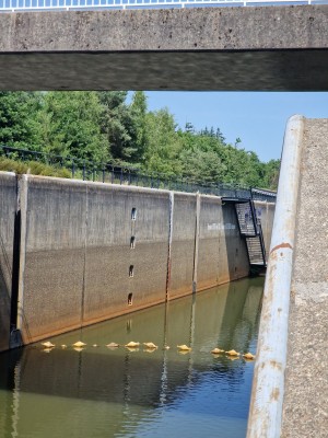 
                            <b>Waterweg met drijvende gele blokken en betonnen zijwanden onder brug.</b><br>
                                                        <b>ISO:</b> 50 | <b>Sluitertijd:</b> 1/1468 | <b>Diafragma:</b> f/2.4 | <b>Datum:</b> 2025-06-25

                        