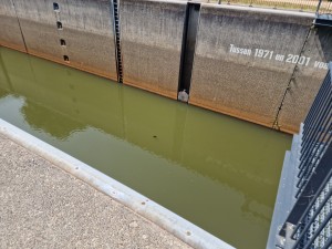 
                            <b>Sluis met water, zicht op binnenkant met jaartallen opschrift op muur.</b><br>
                                                        <b>ISO:</b> 50 | <b>Sluitertijd:</b> 1/668 | <b>Diafragma:</b> f/1.8 | <b>Datum:</b> 2025-06-25

                        