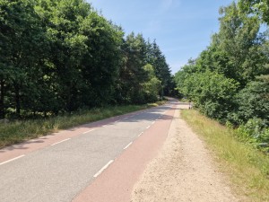 
                            <b>Fietspad langs een rustige weg door groene natuur.</b><br>
                                                        <b>ISO:</b> 50 | <b>Sluitertijd:</b> 1/788 | <b>Diafragma:</b> f/1.8 | <b>Datum:</b> 2025-06-25

                        