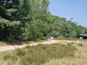 
                            <b>Zandpad omgeven door groen, met een bord en bankjes langs de weg.</b><br>
                                                        <b>ISO:</b> 50 | <b>Sluitertijd:</b> 1/1701 | <b>Diafragma:</b> f/2.4 | <b>Datum:</b> 2025-06-25

                        