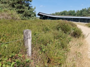 
                            <b>Pad naast gebouw met houten paaltjes en heide.</b><br>
                                                        <b>ISO:</b> 50 | <b>Sluitertijd:</b> 1/944 | <b>Diafragma:</b> f/1.8 | <b>Datum:</b> 2025-06-25

                        