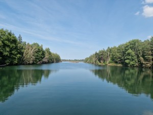 
                            <b>Rustige bosrijke rivier, omringd door groene bomen, onder een heldere blauwe lucht.</b><br>
                                                        <b>ISO:</b> 50 | <b>Sluitertijd:</b> 1/8850 | <b>Diafragma:</b> f/1.8 | <b>Datum:</b> 2025-06-25

                        