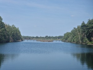 
                            <b>Rustig meer met brug op de achtergrond, omringd door groene natuur.</b><br>
                                                        <b>ISO:</b> 50 | <b>Sluitertijd:</b> 1/2762 | <b>Diafragma:</b> f/2.4 | <b>Datum:</b> 2025-06-25

                        
