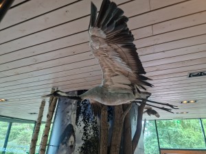 
                            <b>Opgezette vogel met gespreide vleugels lijkt te vliegen binnen tentoonstellingsruimte.</b><br>
                                                        <b>ISO:</b> 250 | <b>Sluitertijd:</b> 1/100 | <b>Diafragma:</b> f/1.8 | <b>Datum:</b> 2025-06-25

                        