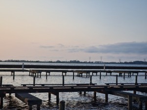 
                            <b>Houten steigers aan het water, met uitzicht op de horizon.</b><br>
                                                        <b>ISO:</b> 50 | <b>Sluitertijd:</b> 1/1124 | <b>Diafragma:</b> f/2.4 | <b>Datum:</b> 2025-06-15

                        