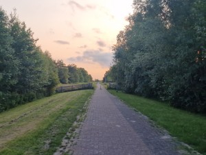 
                            <b>Verharde weg tussen groene bomen met een hek in de verte.</b><br>
                                                        <b>ISO:</b> 50 | <b>Sluitertijd:</b> 1/305 | <b>Diafragma:</b> f/1.8 | <b>Datum:</b> 2025-06-15

                        