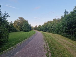 
                            <b>Slingerend pad door groen parklandschap met bomen aan weerszijden.</b><br>
                                                        <b>ISO:</b> 50 | <b>Sluitertijd:</b> 1/1340 | <b>Diafragma:</b> f/1.8 | <b>Datum:</b> 2025-06-15

                        