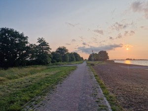 
                            <b>Een stenen pad langs het water bij zonsondergang met bomen.</b><br>
                                                        <b>ISO:</b> 50 | <b>Sluitertijd:</b> 102459/50000000 | <b>Diafragma:</b> f/1.8 | <b>Datum:</b> 2025-06-15

                        