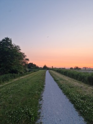 
                            <b>Smal pad tussen grasvelden onder kleurrijke avondlucht.</b><br>
                                                        <b>ISO:</b> 50 | <b>Sluitertijd:</b> 1111111/200000000 | <b>Diafragma:</b> f/1.8 | <b>Datum:</b> 2025-06-15

                        