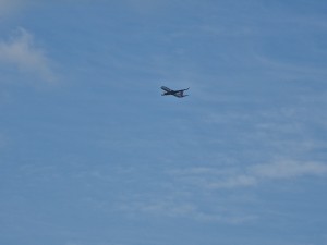 
                            <b>Een vliegtuig vliegt hoog in de lucht.</b><br>
                                                        <b>ISO:</b> 50 | <b>Sluitertijd:</b> 1/779 | <b>Diafragma:</b> f/4.9 | <b>Datum:</b> 2025-06-15

                        
