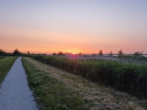 
                            <b>Zonsondergang boven een pad met gras en struiken ernaast.</b><br>
                                                        <b>ISO:</b> 50 | <b>Sluitertijd:</b> 8333333/1000000000 | <b>Diafragma:</b> f/1.8 | <b>Datum:</b> 2025-06-15

                        