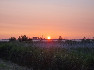 
                            <b>Stralende zonsondergang boven silhouetten van bomen en weiland.</b><br>
                                                        <b>ISO:</b> 50 | <b>Sluitertijd:</b> 1/298 | <b>Diafragma:</b> f/2.4 | <b>Datum:</b> 2025-06-15

                        