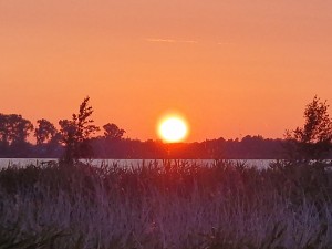 
                            <b>Ondergaande zon boven een waterlandschap met silhouetten van bomen.</b><br>
                                                        <b>ISO:</b> 50 | <b>Sluitertijd:</b> 1/466 | <b>Diafragma:</b> f/2.4 | <b>Datum:</b> 2025-06-15

                        