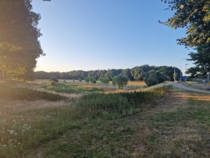 
                            <b>Open veld met gras, bomen en een kronkelend pad langs de rand.</b><br>
                                                        <b>ISO:</b> 50 | <b>Sluitertijd:</b> 1/2646 | <b>Diafragma:</b> f/1.8 | <b>Datum:</b> 2025-06-30

                        