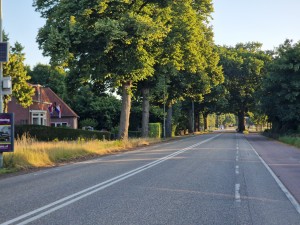 
                            <b>Landelijke weg met bomenrij en huis met vlaggen aan de zijkant.</b><br>
                                                        <b>ISO:</b> 50 | <b>Sluitertijd:</b> 1/370 | <b>Diafragma:</b> f/2.4 | <b>Datum:</b> 2025-06-30

                        