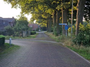 
                            <b>Doodlopende straat met stenen weg en bomen aan de zijkant.</b><br>
                                                        <b>ISO:</b> 50 | <b>Sluitertijd:</b> 1/278 | <b>Diafragma:</b> f/2.4 | <b>Datum:</b> 2025-06-30

                        