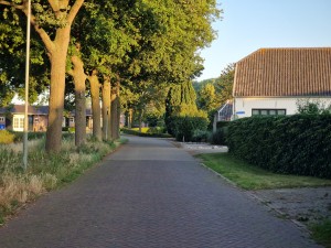 
                            <b>Landelijke straat met bomenrij en huizen aan de zijkant.</b><br>
                                                        <b>ISO:</b> 50 | <b>Sluitertijd:</b> 1/304 | <b>Diafragma:</b> f/2.4 | <b>Datum:</b> 2025-06-30

                        