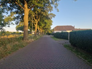 
                            <b>Stenen landweg met bomen en huizen aan de zijkanten.</b><br>
                                                        <b>ISO:</b> 50 | <b>Sluitertijd:</b> 1111111/200000000 | <b>Diafragma:</b> f/1.8 | <b>Datum:</b> 2025-06-30

                        