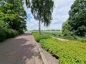 
                            <b>Paden langs een groene rivier, omgeven door weelderige natuur en bomen.</b><br>
                                                        <b>ISO:</b> 50 | <b>Sluitertijd:</b> 1/2105 | <b>Diafragma:</b> f/2.2 | <b>Datum:</b> 2025-07-20

                        