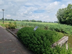
                            <b>Informatiebord bij groen landschap met gras en struiken.</b><br>
                                                        <b>ISO:</b> 50 | <b>Sluitertijd:</b> 1/11364 | <b>Diafragma:</b> f/1.8 | <b>Datum:</b> 2025-07-20

                        