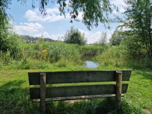 
                            <b>Houten bankje kijkt uit over rustig, klein water omgeven door groen.</b><br>
                                                        <b>ISO:</b> 50 | <b>Sluitertijd:</b> 1/1637 | <b>Diafragma:</b> f/1.8 | <b>Datum:</b> 2025-07-20

                        