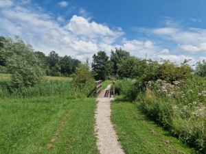 
                            <b>Smal pad leidt naar een houten brug tussen groen landschap.</b><br>
                                                        <b>ISO:</b> 50 | <b>Sluitertijd:</b> 1/2012 | <b>Diafragma:</b> f/1.8 | <b>Datum:</b> 2025-07-20

                        