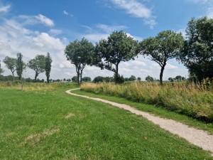 
                            <b>Kronkelend zandpad door groen grasveld met rij bomen.</b><br>
                                                        <b>ISO:</b> 50 | <b>Sluitertijd:</b> 1/1972 | <b>Diafragma:</b> f/1.8 | <b>Datum:</b> 2025-07-20

                        