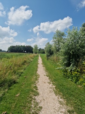 
                            <b>Smal grindpad omgeven door groen gras en bomen.</b><br>
                                                        <b>ISO:</b> 50 | <b>Sluitertijd:</b> 1/2551 | <b>Diafragma:</b> f/1.8 | <b>Datum:</b> 2025-07-20

                        