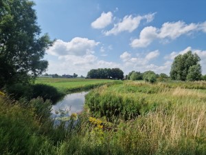 
                            <b>Natuurlijk landschap met riviertje, groen gras en bomen in de verte.</b><br>
                                                        <b>ISO:</b> 50 | <b>Sluitertijd:</b> 1/2294 | <b>Diafragma:</b> f/1.8 | <b>Datum:</b> 2025-07-20

                        