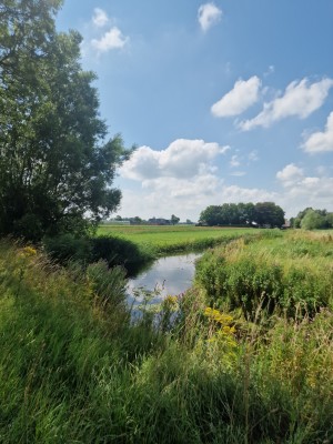 
                            <b>Weelderig groen landschap met beekje en wilde bloemen.</b><br>
                                                        <b>ISO:</b> 50 | <b>Sluitertijd:</b> 1/2294 | <b>Diafragma:</b> f/1.8 | <b>Datum:</b> 2025-07-20

                        