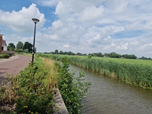 
                            <b>Kanaal met riet langs het water, naast een weg met lantaarnpaal.</b><br>
                                                        <b>ISO:</b> 50 | <b>Sluitertijd:</b> 1/17241 | <b>Diafragma:</b> f/1.8 | <b>Datum:</b> 2025-07-20

                        