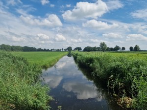 
                            <b>Smal kanaal met weerspiegelende wolken, omringd door groene velden.</b><br>
                                                        <b>ISO:</b> 50 | <b>Sluitertijd:</b> 1/2096 | <b>Diafragma:</b> f/1.8 | <b>Datum:</b> 2025-07-20

                        