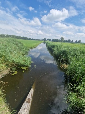 
                            <b>Lang kanaal tussen groene grasvelden en riet onder een bewolkte lucht.</b><br>
                                                        <b>ISO:</b> 50 | <b>Sluitertijd:</b> 1/2128 | <b>Diafragma:</b> f/2.2 | <b>Datum:</b> 2025-07-20

                        