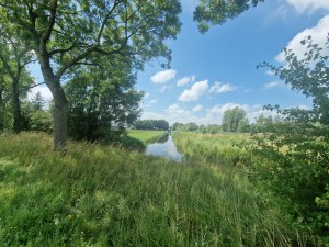 
                            <b>Een smal, helder beekje stroomt door een groene, grasrijke omgeving.</b><br>
                                                        <b>ISO:</b> 50 | <b>Sluitertijd:</b> 1/2062 | <b>Diafragma:</b> f/2.2 | <b>Datum:</b> 2025-07-20

                        