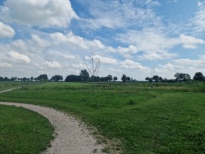 
                            <b>Groene weide met kronkelend pad en enkele bomen aan de horizon.</b><br>
                                                        <b>ISO:</b> 50 | <b>Sluitertijd:</b> 1/2222 | <b>Diafragma:</b> f/1.8 | <b>Datum:</b> 2025-07-20

                        