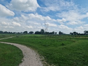 
                            <b>Kronkelend pad door groen grasland met kale bomen aan de horizon.</b><br>
                                                        <b>ISO:</b> 50 | <b>Sluitertijd:</b> 1/2222 | <b>Diafragma:</b> f/1.8 | <b>Datum:</b> 2025-07-20

                        